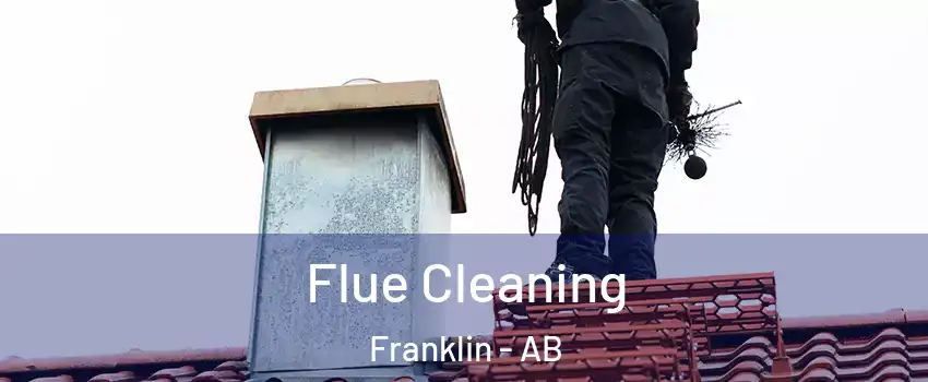  Flue Cleaning Franklin - AB