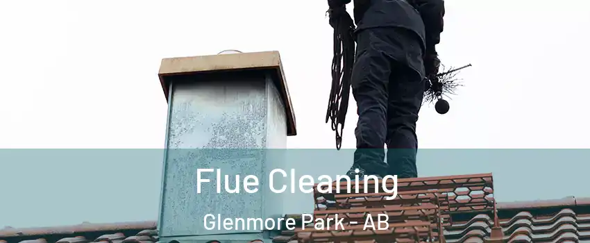  Flue Cleaning Glenmore Park - AB