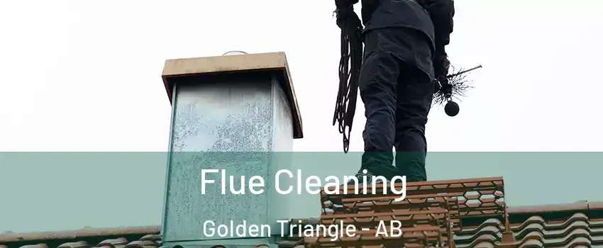  Flue Cleaning Golden Triangle - AB