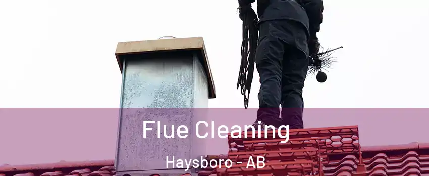  Flue Cleaning Haysboro - AB