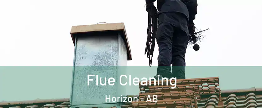  Flue Cleaning Horizon - AB