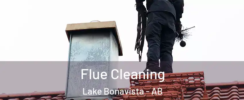  Flue Cleaning Lake Bonavista - AB