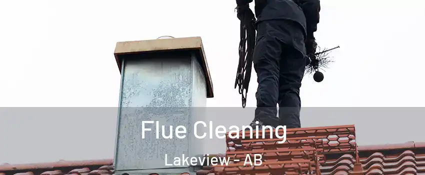  Flue Cleaning Lakeview - AB