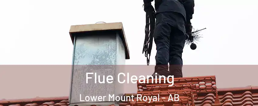  Flue Cleaning Lower Mount Royal - AB