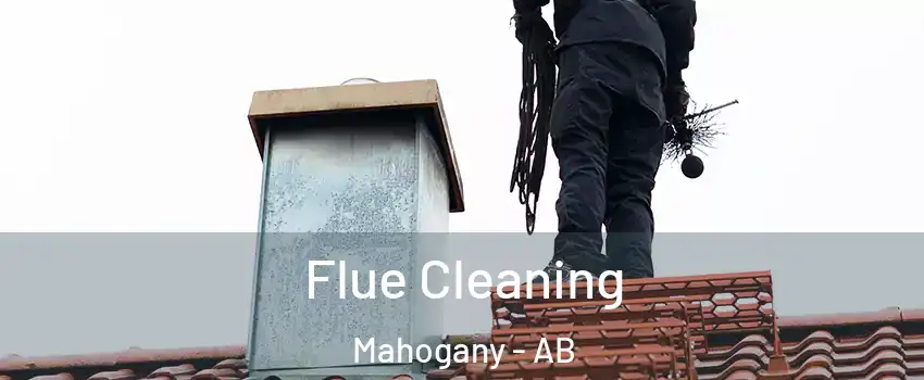  Flue Cleaning Mahogany - AB