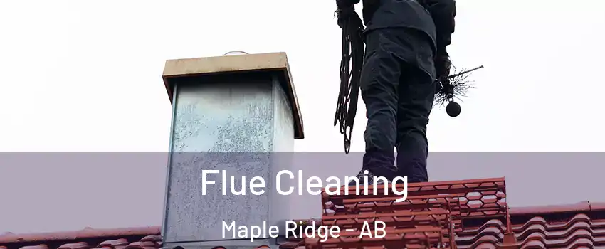  Flue Cleaning Maple Ridge - AB