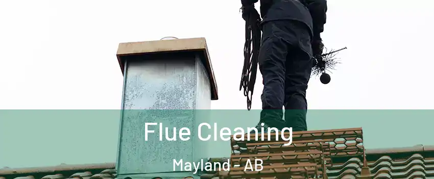  Flue Cleaning Mayland - AB