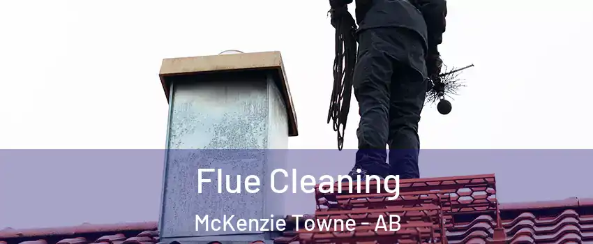  Flue Cleaning McKenzie Towne - AB