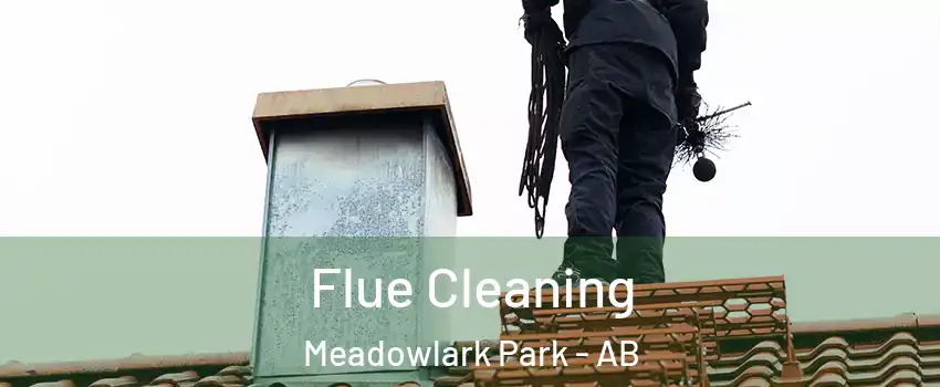  Flue Cleaning Meadowlark Park - AB
