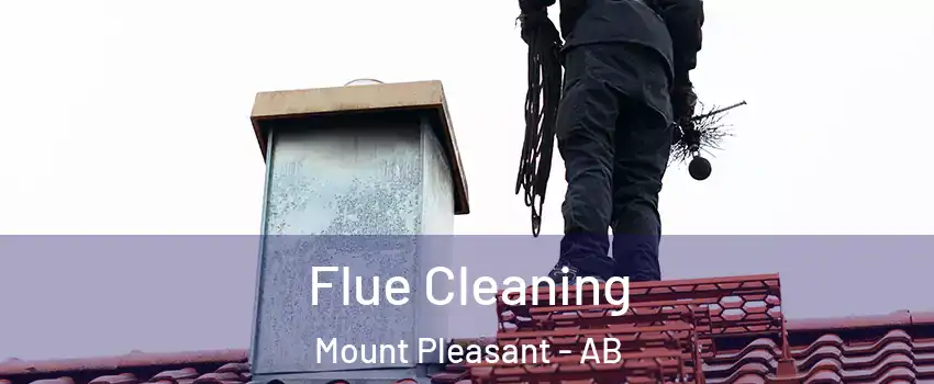  Flue Cleaning Mount Pleasant - AB