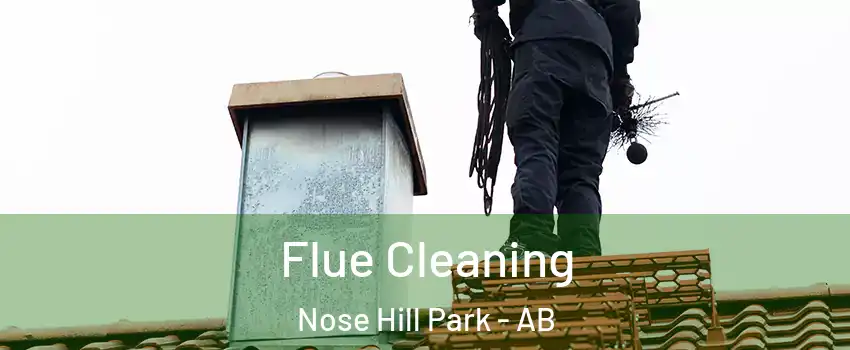  Flue Cleaning Nose Hill Park - AB