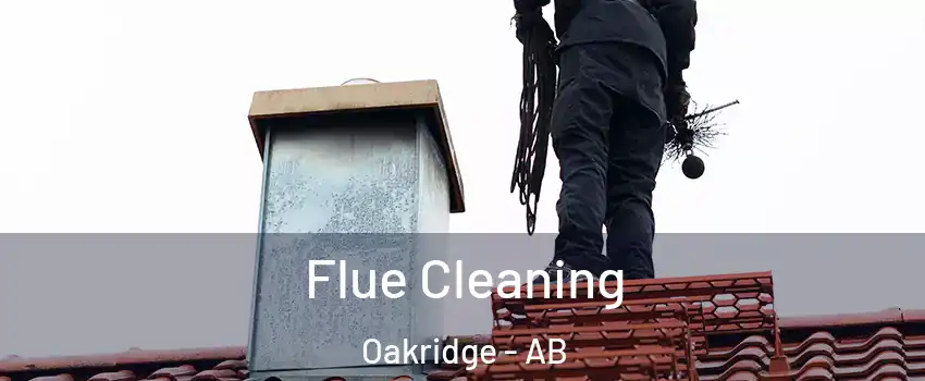  Flue Cleaning Oakridge - AB
