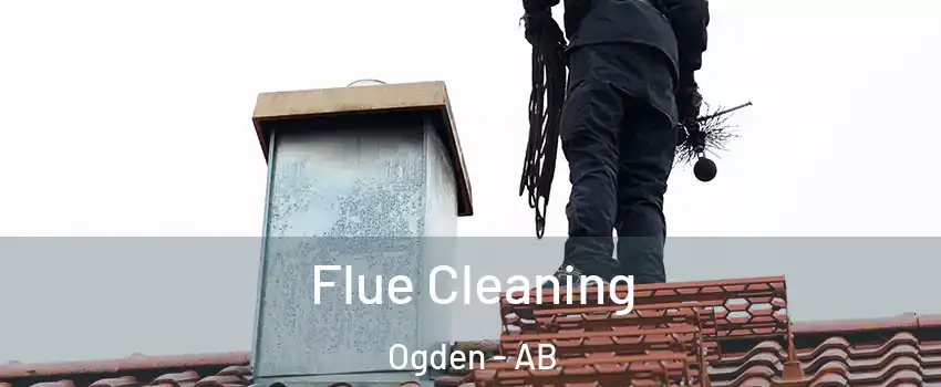  Flue Cleaning Ogden - AB