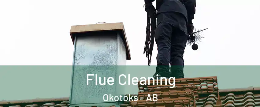  Flue Cleaning Okotoks - AB