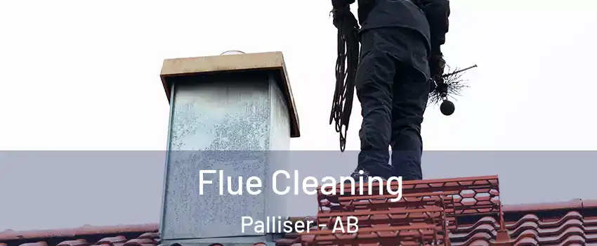  Flue Cleaning Palliser - AB