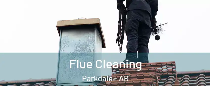  Flue Cleaning Parkdale - AB