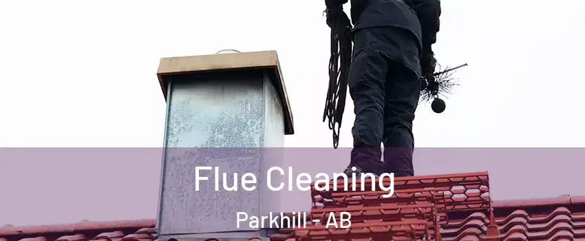  Flue Cleaning Parkhill - AB