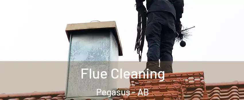  Flue Cleaning Pegasus - AB