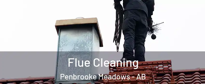  Flue Cleaning Penbrooke Meadows - AB