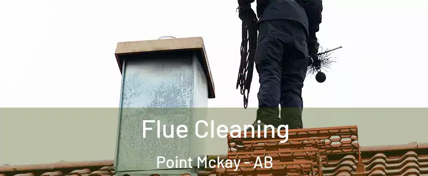  Flue Cleaning Point Mckay - AB
