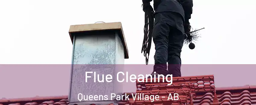  Flue Cleaning Queens Park Village - AB