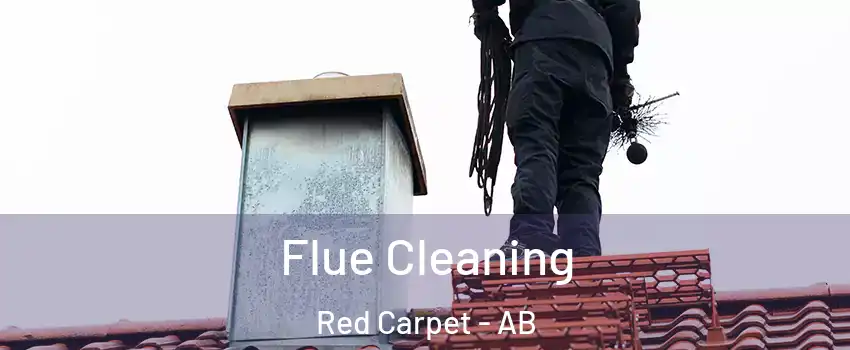  Flue Cleaning Red Carpet - AB