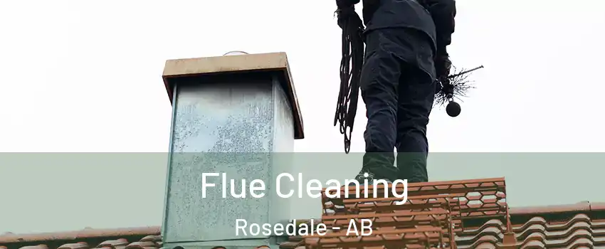  Flue Cleaning Rosedale - AB