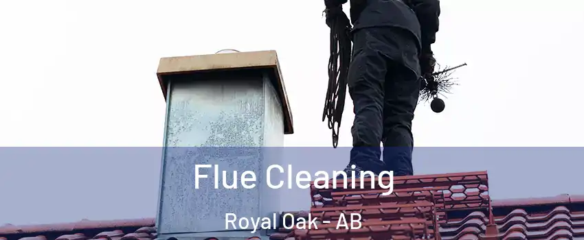  Flue Cleaning Royal Oak - AB