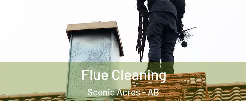  Flue Cleaning Scenic Acres - AB