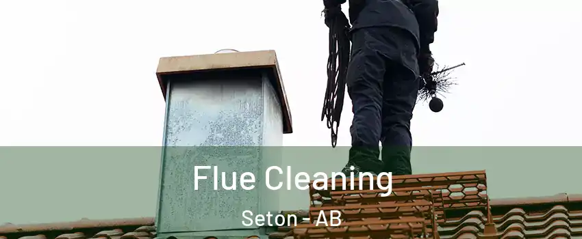  Flue Cleaning Seton - AB