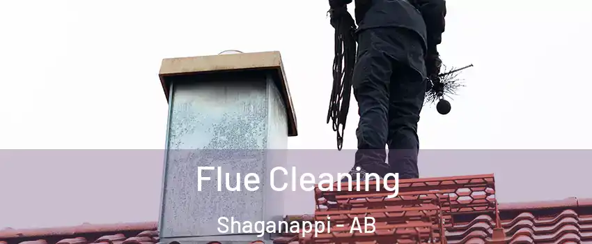  Flue Cleaning Shaganappi - AB