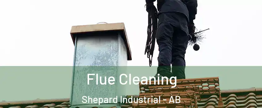  Flue Cleaning Shepard Industrial - AB