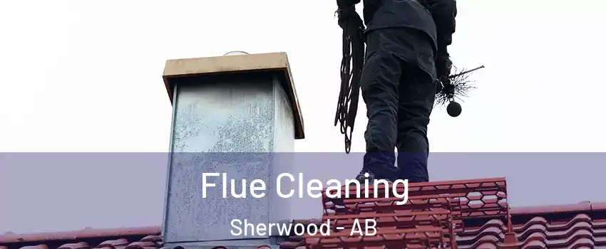  Flue Cleaning Sherwood - AB