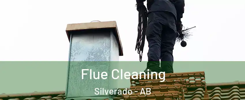  Flue Cleaning Silverado - AB