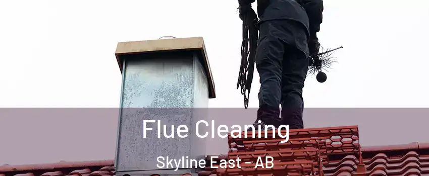  Flue Cleaning Skyline East - AB