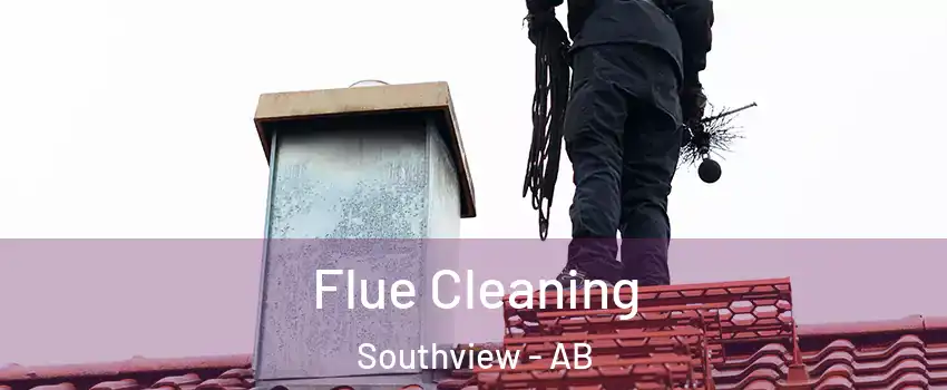  Flue Cleaning Southview - AB