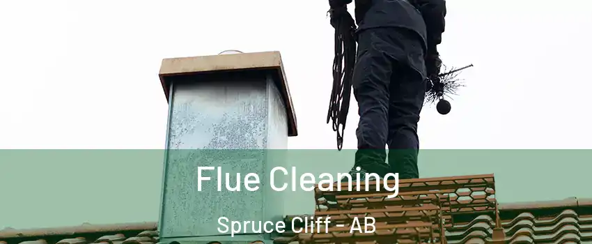  Flue Cleaning Spruce Cliff - AB