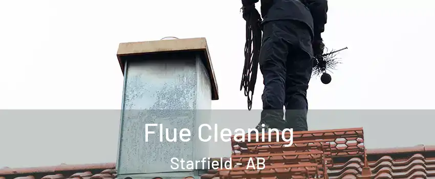  Flue Cleaning Starfield - AB