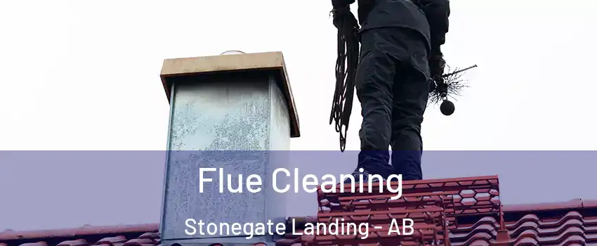  Flue Cleaning Stonegate Landing - AB