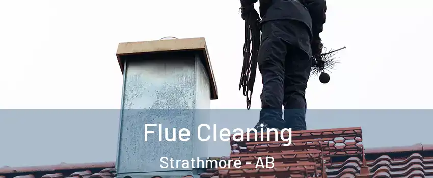  Flue Cleaning Strathmore - AB