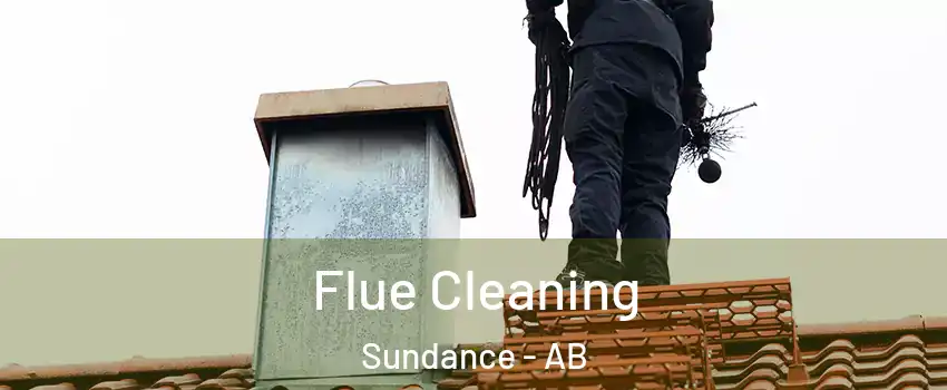  Flue Cleaning Sundance - AB