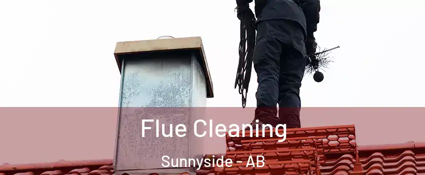  Flue Cleaning Sunnyside - AB