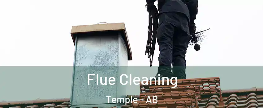  Flue Cleaning Temple - AB