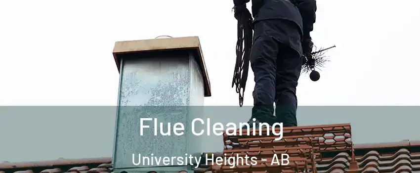  Flue Cleaning University Heights - AB