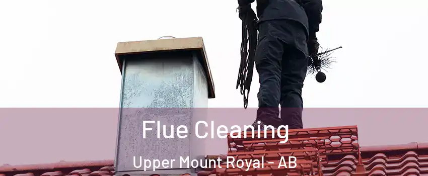  Flue Cleaning Upper Mount Royal - AB