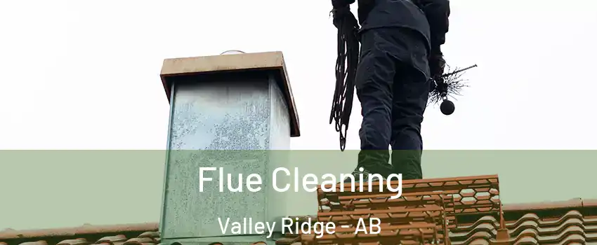  Flue Cleaning Valley Ridge - AB