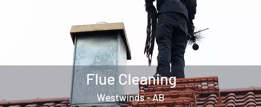  Flue Cleaning Westwinds - AB