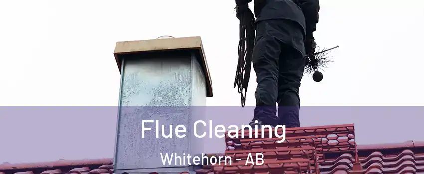  Flue Cleaning Whitehorn - AB
