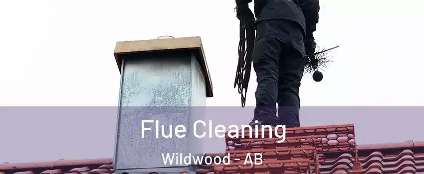  Flue Cleaning Wildwood - AB