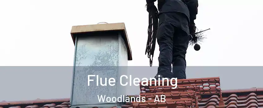  Flue Cleaning Woodlands - AB